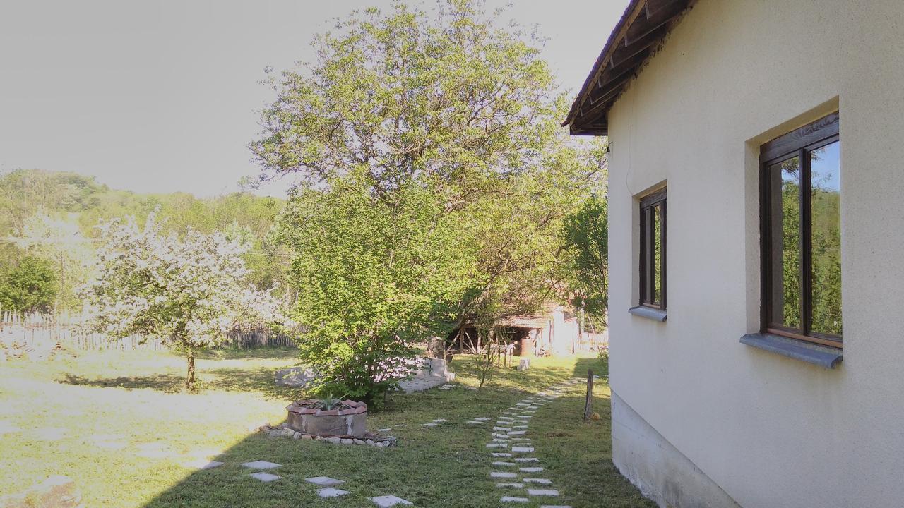 Kuca Za Odmor Radovanovic Despotovac Exterior photo