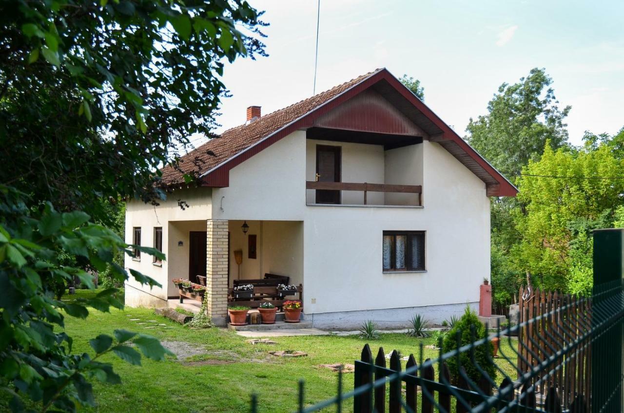 Kuca Za Odmor Radovanovic Despotovac Exterior photo