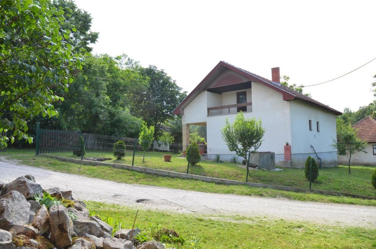 Kuca Za Odmor Radovanovic Despotovac Exterior photo