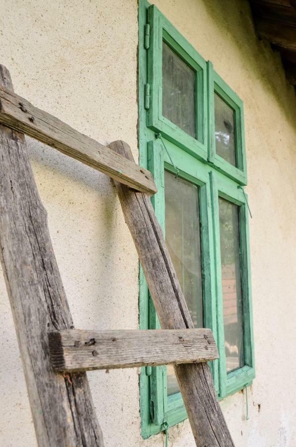 Kuca Za Odmor Radovanovic Despotovac Exterior photo