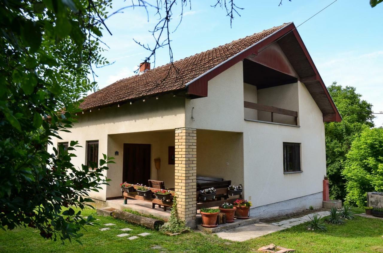 Kuca Za Odmor Radovanovic Despotovac Exterior photo