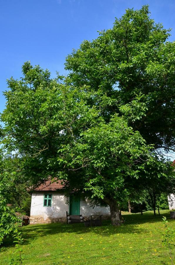 Kuca Za Odmor Radovanovic Despotovac Exterior photo